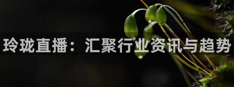 熊猫体育直播nba：玲珑直播：汇聚行业资讯与趋势