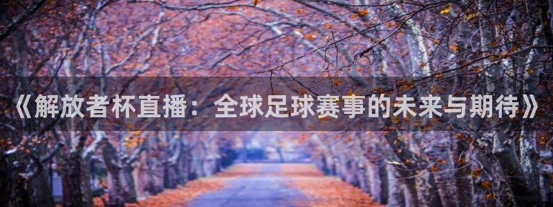 熊猫nba直播视频：《解放者杯直播：全球足球赛事的未来与期待》