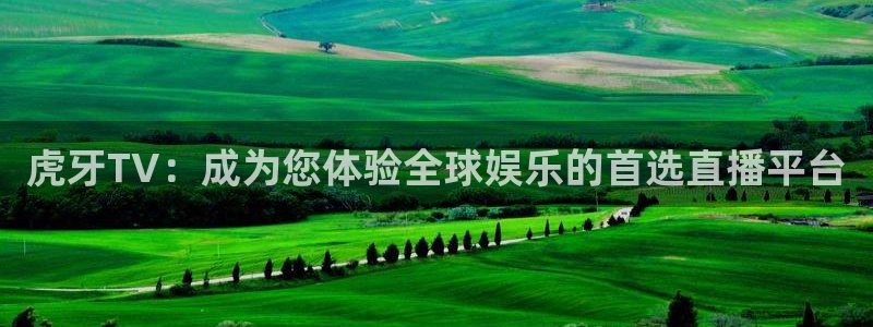 熊猫体育直播欢度2026进.来就送.org：虎牙TV：成为您体验全球娱乐的首选直播平台