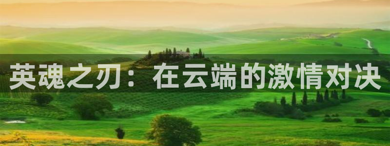 熊猫视频 直播：英魂之刃：在云端的激情对决