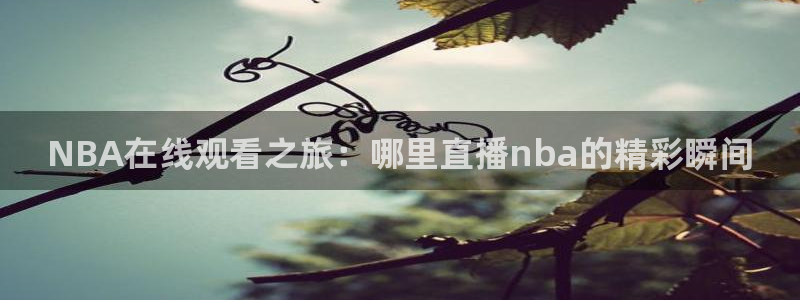 熊猫视：NBA在线观看之旅：哪里直播nba的精彩瞬间