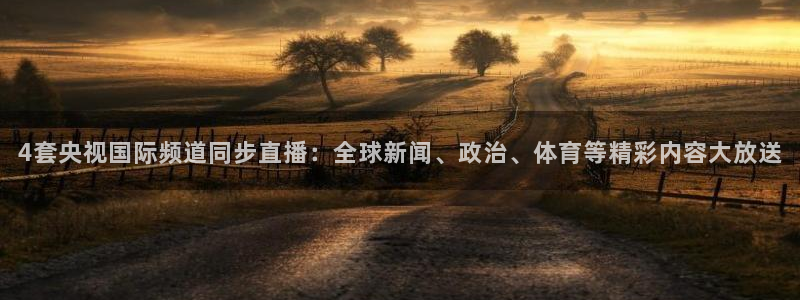 直播:熊猫