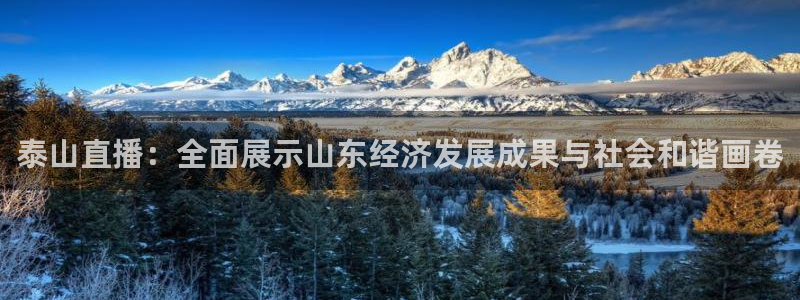 熊猫直播下载：泰山直播：全面展示山东经济发展成果与社会和谐画卷