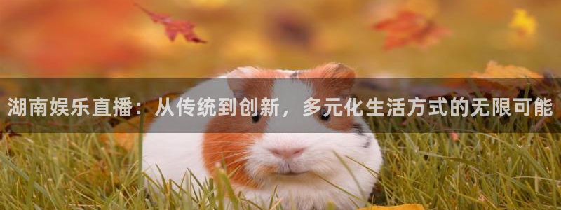 熊猫游戏直播：湖南娱乐直播：从传统到创新，多元化生活方式的无限可能